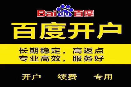电商平台的SEM关键词优化与推广案例