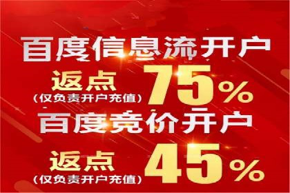 百度SEO推广策略深度解读：某企业网络营销的胜利之路